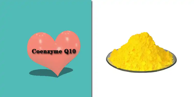 Coenzyme Q10 powder.jpg